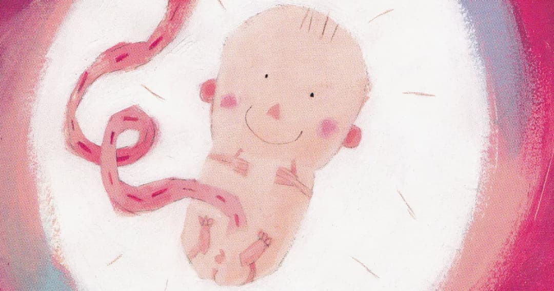 Skąd się wziąłem film edukacyjny – jak tłumaczyć dzieciom pochodzenie?